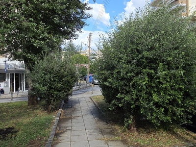 κουρεμα τα φυτά  Μητροπολίτου Καλλίδου