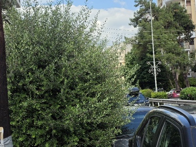 κουρεμα τα φυτά  Μητροπολίτου Καλλίδου