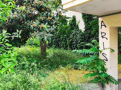Ακαθάριστο οικόπεδο  Αλεξάνδρου Παπαναστασίου