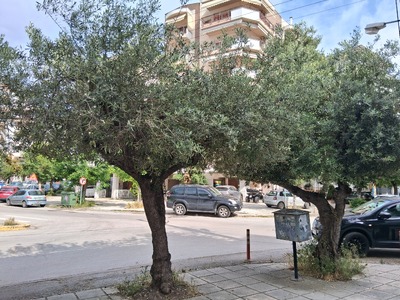 ΕΠΙΚΕΙΜΕΝΗ ΚΟΠΗ ΔΕΝΤΡΩΝ συμβολή των οδών Καραβαγγέλη, Ζηργάνου και Ιωνίας (περιοχή Βότση).