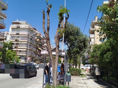 υπερβολική κλάδευση δέντρων  Στην Τάκη Οικονομίδη δίπλα και απέναντι από την στάση