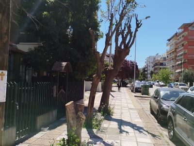 υπερβολική κλάδευση δέντρων  Στην Τάκη Οικονομίδη δίπλα και απέναντι από την στάση