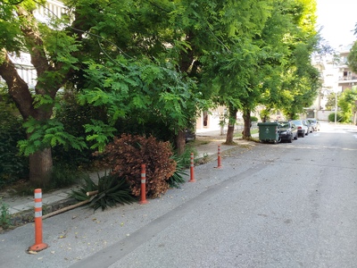 Κομμένα κλαδιά δένδρων στην οδό Κύμης 40