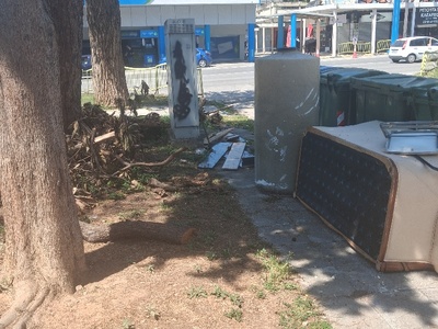 κλαδια + δεξαμενη+καναπες  Φοιβου