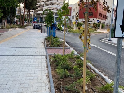 ΞΕΡΑΜΕΝΟ ΔΕΝΤΡΟ  ΘΕΡΜΑΙΚΟΥ