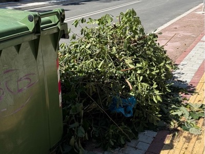 ΠΕΤΑΜΕΝΑ ΚΛΑΔΙΑ ΔΙΠΛΑ ΣΤΟΝ ΚΑΔΟ  Ερυθρού Σταυρού