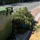 ΠΕΤΑΜΕΝΑ ΚΛΑΔΙΑ ΔΙΠΛΑ ΣΤΟΝ ΚΑΔΟ  Ερυθρού Σταυρού