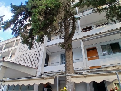 Επικινδυνο δεντρο Αμφιτρίτης