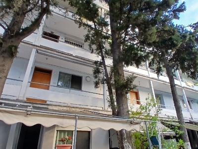 Επικινδυνο δεντρο Αμφιτρίτης