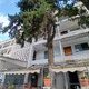 Επικινδυνο δεντρο Αμφιτρίτης