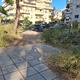 Κουρεμα κουρεμα των χορτων στα δεντρα και κολονες και οικοπεδω ....     Μητρ κυδωνιων