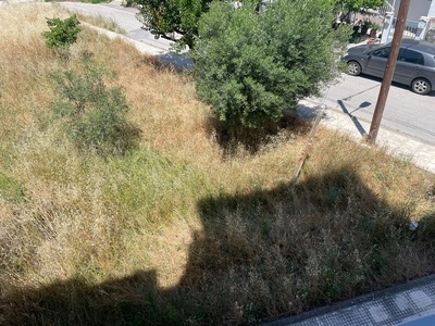 κοπη ξερων χορτων  Φώτη Κόντογλου   (ΟΙΚΟΠΕΔΟ)