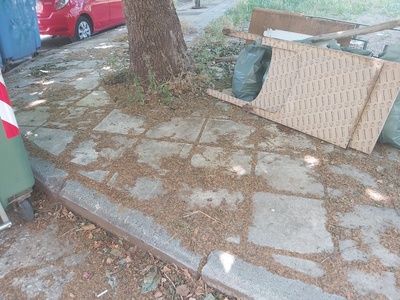 Μπαζα σε καδο  	Παλαιολόγου