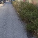 ΚΟΠΗ ΒΛΑΣΤΗΣΗΣ  ΟΔΟΥ ΔΕΛΗΓΙΑΝΝΙΔΗ