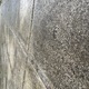 Θέμα: Επείγον αίτημα για κλάδεμα δέντρων, κουρεμα χωρτων, τοποθέτηση φυτοφαρμάκου και καθαρισμό πεζοδρομίου.
