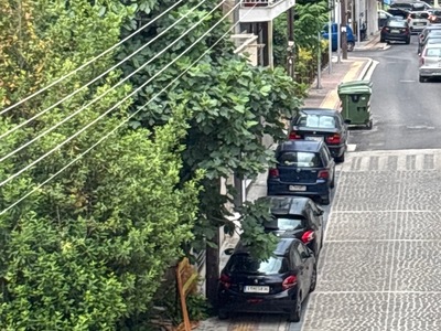 Παρκαρισμενα σε διαβαση τυφλων !!!