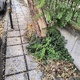 Εικόνα εγκατάλειψης  Μητροπολίτου Ιωσήφ & Δαβάκη
