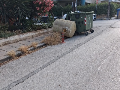Φλεμιγκ  ΟΓΚΩΔΗ