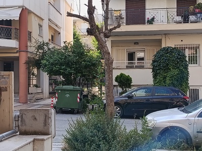 Ξερό δέντρο.  Κύμης