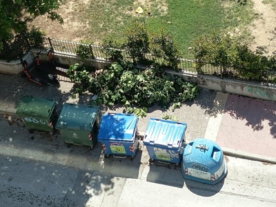 ΚΛΑΔΙΑ ΑΠΟ ΔΕΝΤΡΑ  Παρασκευοπούλου