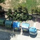 ΚΛΑΔΙΑ ΑΠΟ ΔΕΝΤΡΑ  Παρασκευοπούλου