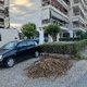 Κλάδεμα  καθαριοτητα πρασίνου  Κανάρη