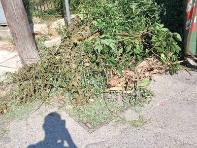 Ξεχασμενα  κλαδια αρκετα   καθαρισμος 	Βλαχερνων