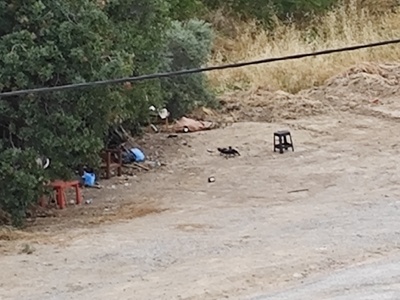 Σκουπίδια  Μιαούλη