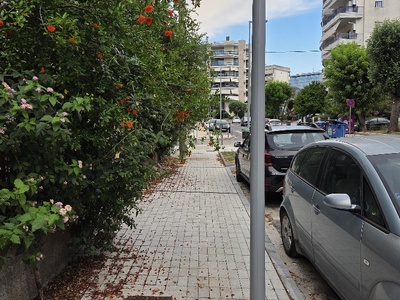 ΚΛΑΔΕΜΑ ΔΕΝΤΡΩΝ ΣΤΗΝ ΠΑΠΑΚΥΡΙΤΣΗ