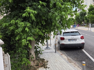 ΚΛΑΔΕΜΑ ΔΕΝΤΡΩΝ ΣΤΗΝ ΠΑΠΑΚΥΡΙΤΣΗ