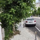 ΚΛΑΔΕΜΑ ΔΕΝΤΡΩΝ ΣΤΗΝ ΠΑΠΑΚΥΡΙΤΣΗ