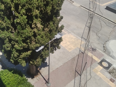 Κλάδεμα δέντρου Στάση Μετρό Νέα Κρήνη