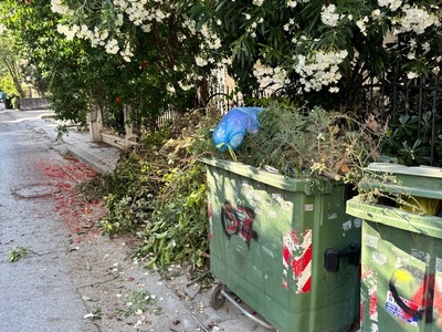 Αποκομιδη κλαδιων  Κλαζομενών      //    επίσης θέλουν κλάδεμα τα δέντρα δεν μπορούμε να περάσουμε με καρότσι.