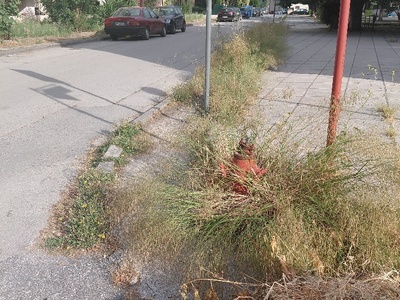 καθαριοτητα  στο πεζοδρόμιό   επι οδος Ισμηνης