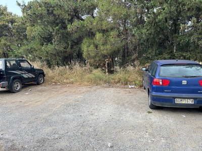 κοπη ευφλεκτης αυτοφειους βλαστησης επι της οδου Α. Παπανδρεου στη συμβολη της με την οδο Τσαγγαλιδη