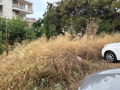 κοπη ευφλεκτης αυτοφειους βλαστησης επι της οδου Α. Παπανδρεου στη συμβολη της με την οδο Τσαγγαλιδη