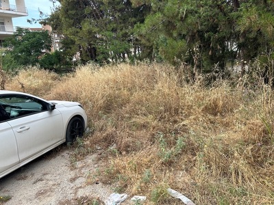 κοπη ευφλεκτης αυτοφειους βλαστησης επι της οδου Α. Παπανδρεου στη συμβολη της με την οδο Τσαγγαλιδη