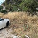 κοπη ευφλεκτης αυτοφειους βλαστησης επι της οδου Α. Παπανδρεου στη συμβολη της με την οδο Τσαγγαλιδη