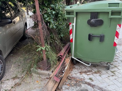 Μάζεμα   τα ξύλα  Δεληγιαννίδη