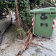 Μάζεμα   τα ξύλα  Δεληγιαννίδη