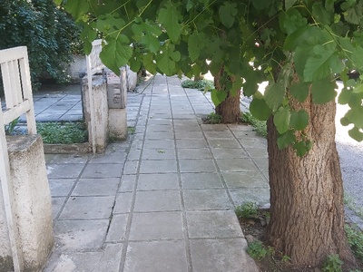 Αναγκη για κλαδεμα