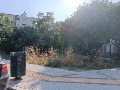 Κλαδεμα δέντρων και θάμνων και κόψιμο χόρτα