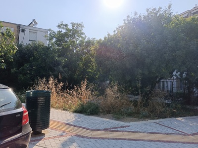 Κλαδεμα δέντρων και θάμνων και κόψιμο χόρτα