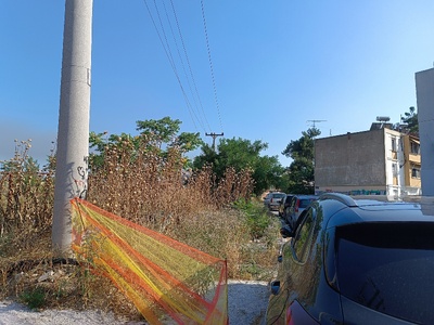 Κλαδεμα δέντρων και θάμνων και κόψιμο χόρτα