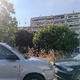 Κλαδεμα δέντρων και θάμνων και κόψιμο χόρτα