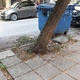 Επικίνδυνη κλίση δέντρου