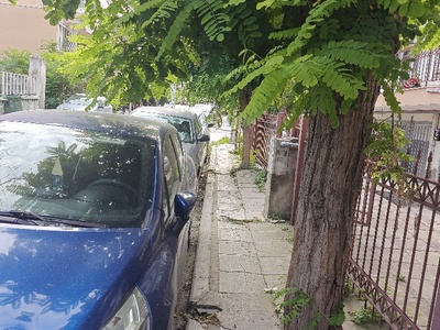 δέντρα που δεν χωράς να περάσεις από κάτω