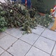 Τα πεταξαν  Ι πασσαλαδη
