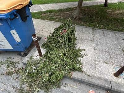 κομνηνων 1   κλαδιά