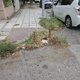 να μπούνε νεα πλαστικά πασαλακια  Καθηγητού Ρωσσίδου